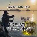 서해로(대로3-3) | 서해 워킹 쭈구미 낚시 | 천수만 B지구 당암포구 제방권