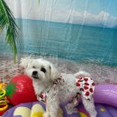 용호유치원 이미지