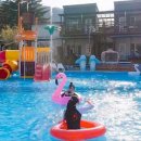 강릉힐링하우스펜션 이미지