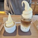 동강농업협동조합 | 현시간 대한민국에서 제일 핫 한 영월 1박2일 🔥