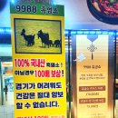 9988흑염소 - 876 | 9988흑염소
