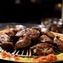 도화갈매기 이미지