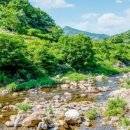 포레스트카라반파크 이미지