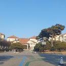 선사유적로 | 양양 쏠비치 호텔 슈페리어 스탠다드 패밀리 트윈 숙박 후기