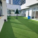 딩굴댕굴 애견호텔 유치원 | 동대구역 근처 애견 호텔 유치원 한 달 후기