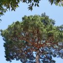 송원자동차전문정비 이미지