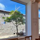 양곡보건진료소 이미지