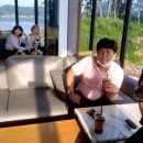 주식회사 신미디어엔터테인먼트 이미지