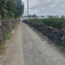 제주신공항부동산공인중개사사무소 이미지