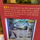 한밭한의원 이미지