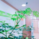실무 엑셀&파워포인트(주말) 이미지
