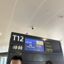 (주)천사여행사 | 네팔 히말라야 트레킹 8박 10일 여행 일정 및 경비 공유 (26년 2월)