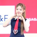 러블리 댕댕 이미지