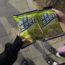 지에스(GS)25 대구팔공보성점 | 25. 이러다 눈깜빡하면 패딩입겠지?는 무슨 폭염주의보