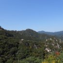 남산병원 이미지