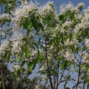 자라마을 이미지