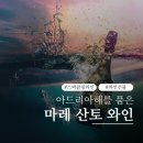 마레산토 와인 설 와인 선물 발렌타인 데이 와인 선물 특별한 따개비 와인 할인판매