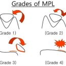 아이숲동물병원 이미지