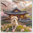 제천동물보호센터 이미지