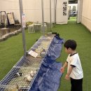 금교농장 이미지