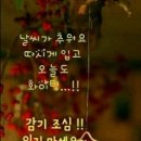 멍멍하니? Daum카페