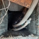 금천셀프주유소 이미지