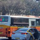 동읍1266 이미지