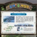 도음산 유아숲체험원 이미지