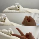 석수하우스스토리 | (석수동왁싱샵) 스테이유 브라질리언 슈가링왁싱 솔직후기 /안양왁싱 추천