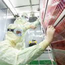 엘사이언스 이미지