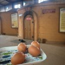 금오산참숯가마찜질방 이미지