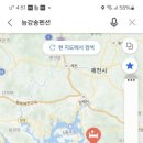 능강송펜션 이미지