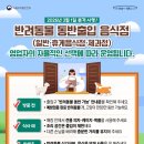 우리집 막둥이 이미지