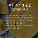 수박 꼭지에 관한 오해와 진실 이미지