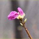 원일중학교앞 이미지