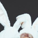 투래빗츠