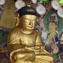 성주 임정사 소조아미타여래좌상 (星州 林淨寺 塑造阿彌陀如來坐像)​ 이미지