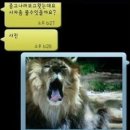 폰사자 이미지