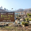 봉평의향기&바베큐