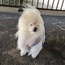 소담골샤브칼국수 이미지