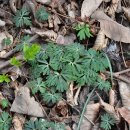 운호마을 이미지