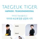 태극타이거합기도 이미지