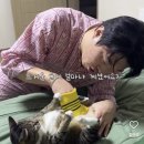 춘봉