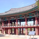 청풍이야기 네이버블로그