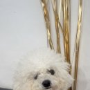 그루밍솔루션 구로점 이미지