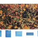 2021 대구시립극단 단원 창작 프로젝트 <바이러스> | 다산도감(茶山圖鑑) 프로젝트 展