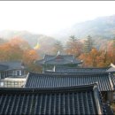 마곡사1 이미지