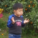 가현농장 이미지