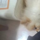 경희빨래방 이미지