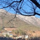 김해한우협회영농법인 이미지